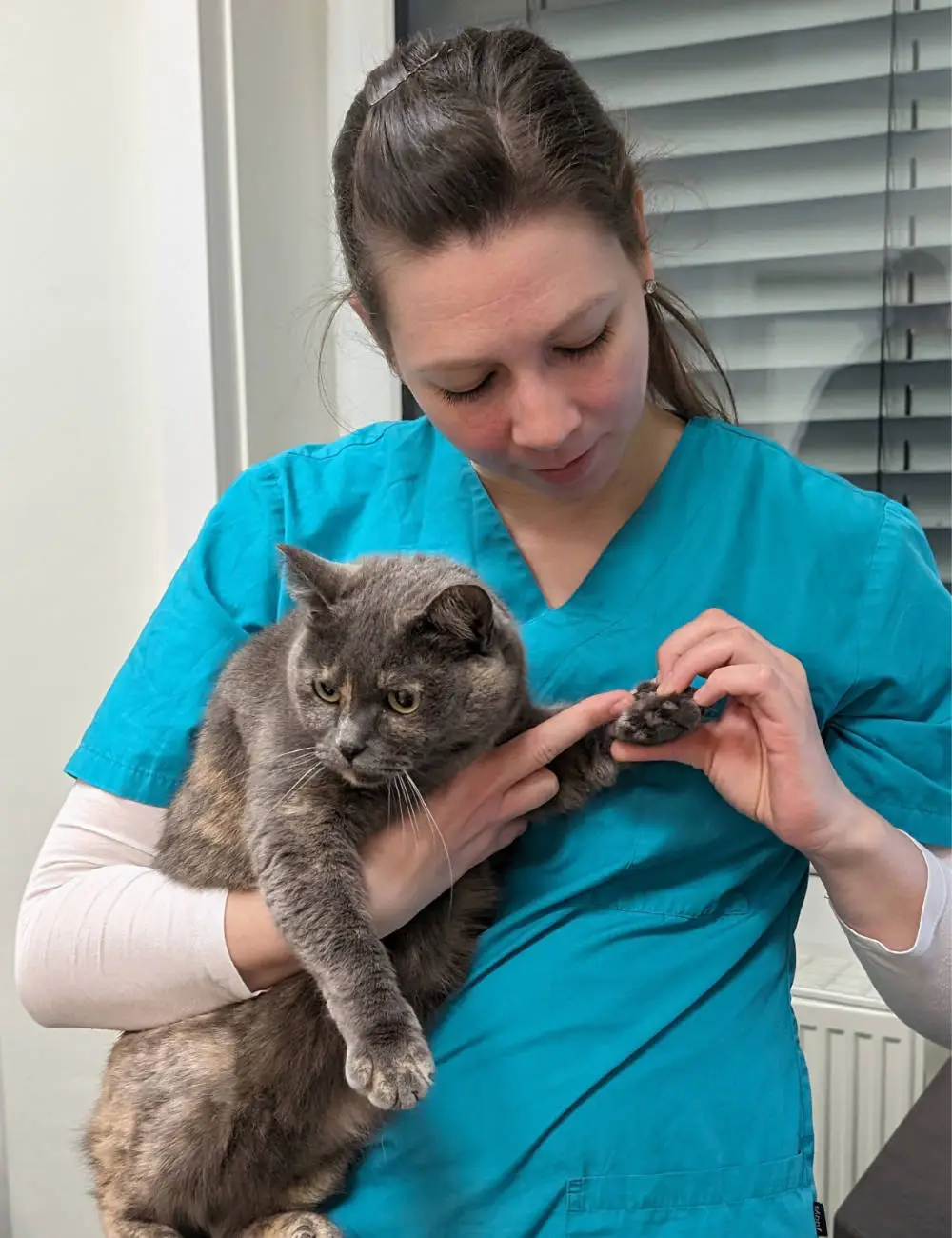 Dr. Sophie Degner untersucht die Pfote einer Katze - Dr. Sophie Degner Kleintierpraxis am Markkleeberger See